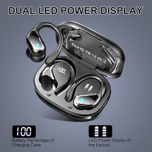 Bluetooth 5.4 Wireless Earbuds with Earhooks M1017