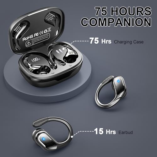 Bluetooth 5.4 Wireless Earbuds with Earhooks M1017
