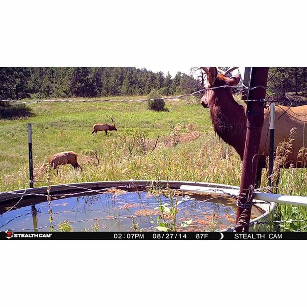 14MP Infrared Game Trail Camera 2 Pack P815000