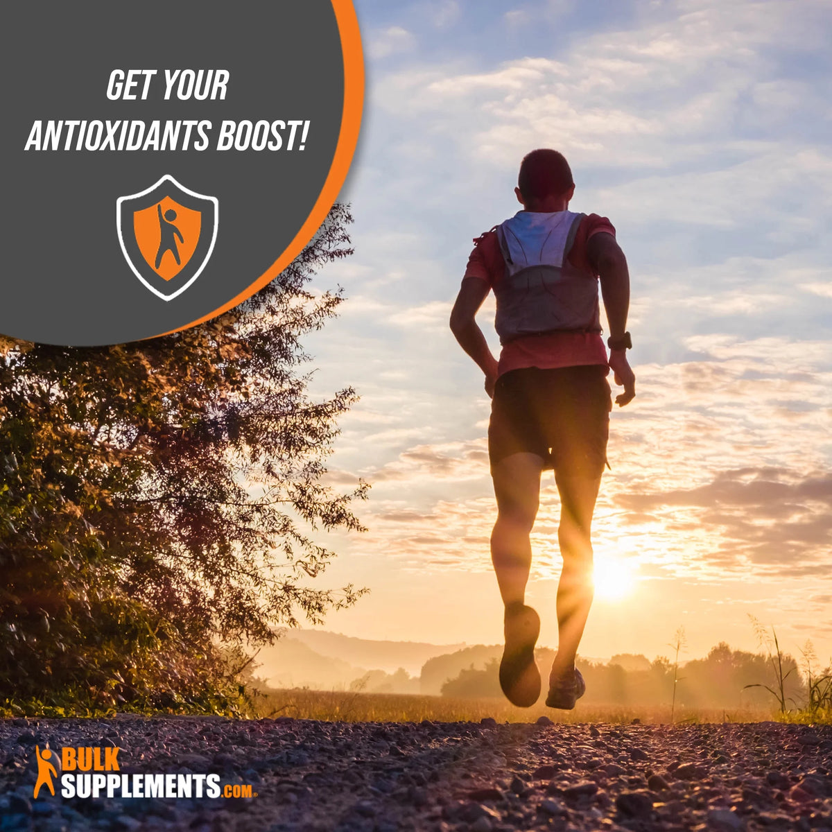 Lycopene Powder Antioxidants Supplement (500 Grams) O10177