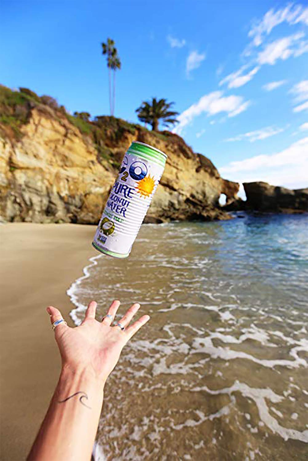 17.5 FL OZ Pack of 12 Pure Coconut Water with Pulp R1510