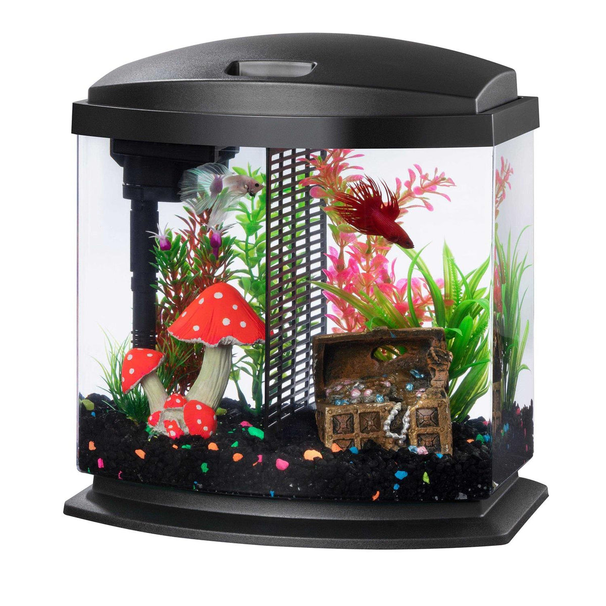 2.5 Black LED Aquarium Kit C208614