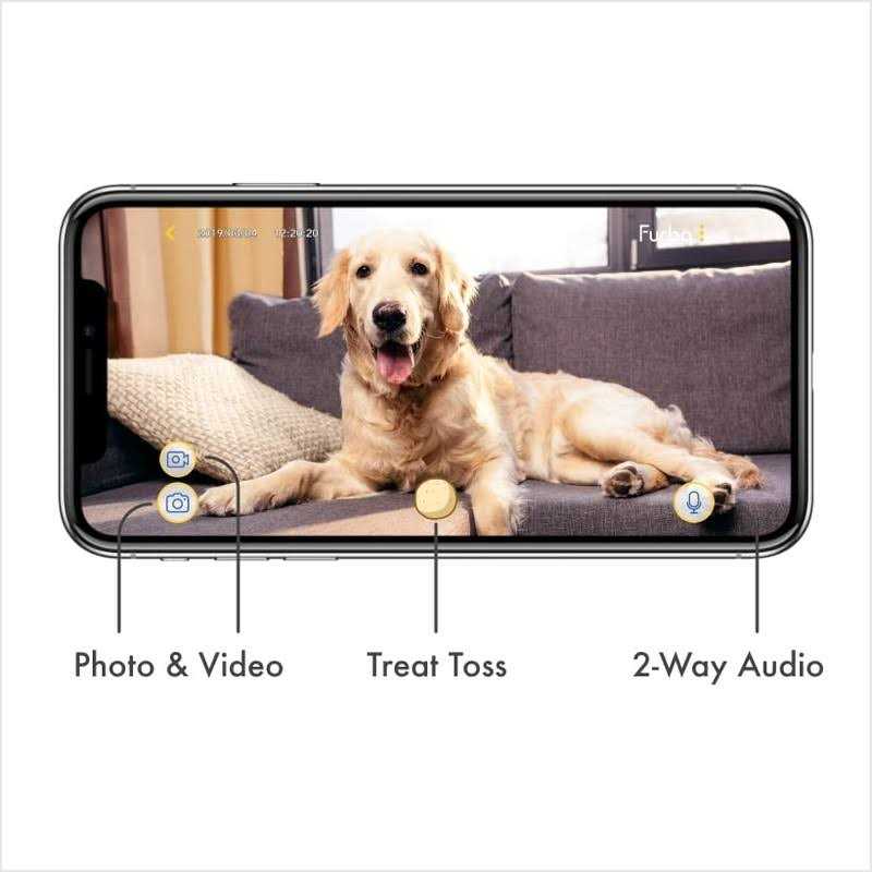 Dog Camera G81372