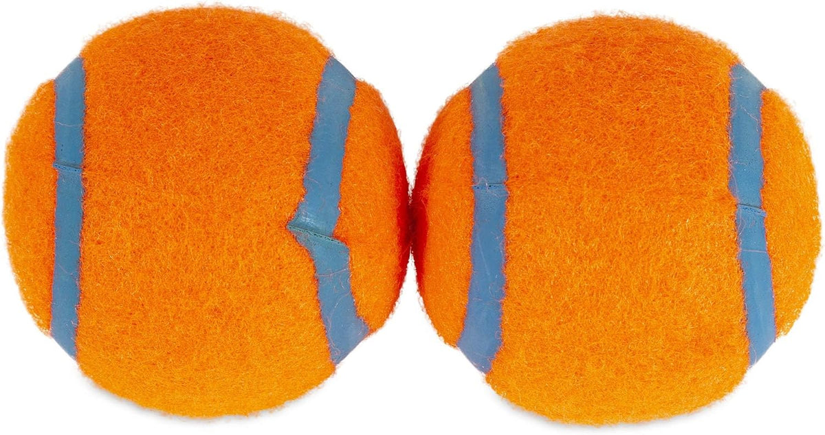 Medium 2.5 Inch Diameter Dog Tennis Ball Pack of 2 Z231044