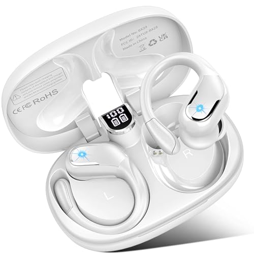 Bluetooth 5.4 Wireless Earbuds with Earhooks M1017