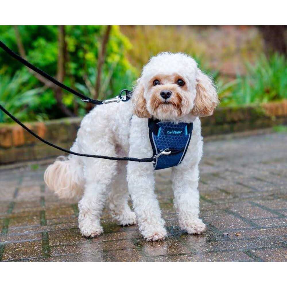 Crash Tested Dog Harness G2922