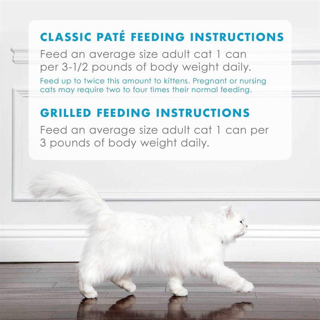 Wet Cat Food K176948