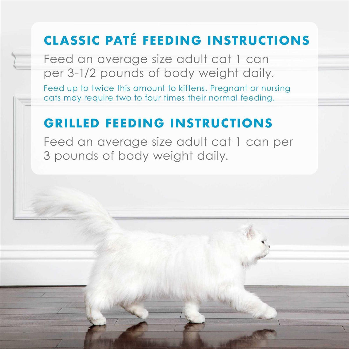 Wet Cat Food K176948