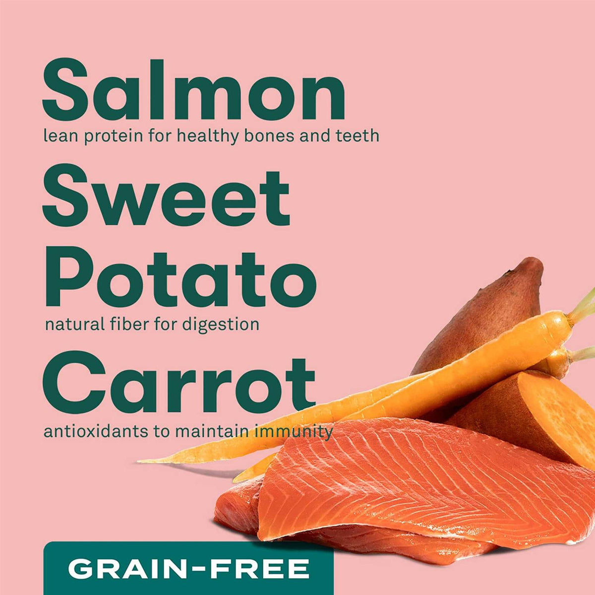 Grain Free Sweet Potato Dog Food B78037