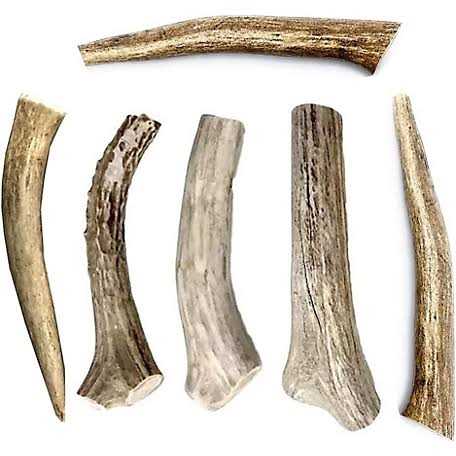 All Natural Whole Deer Antler Dog Chew Treats H233305
