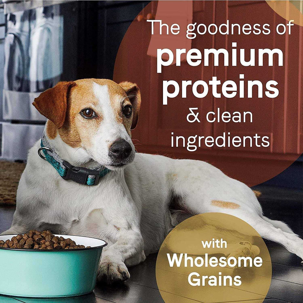 Beef & Barley Recipe Dry Dog Food E522286