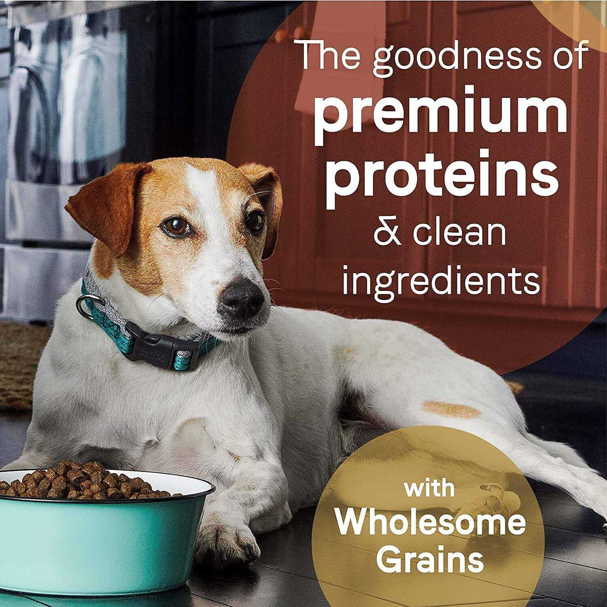 Beef & Barley Recipe Dry Dog Food E522286