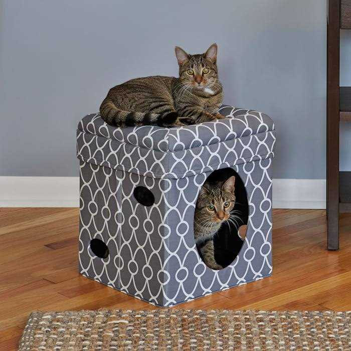 Curious Cat Cube G929372