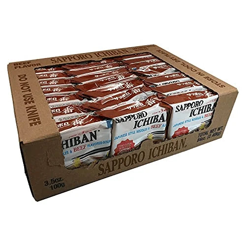 Japanese Style Beef Noodles 100 g 24 Case S2127