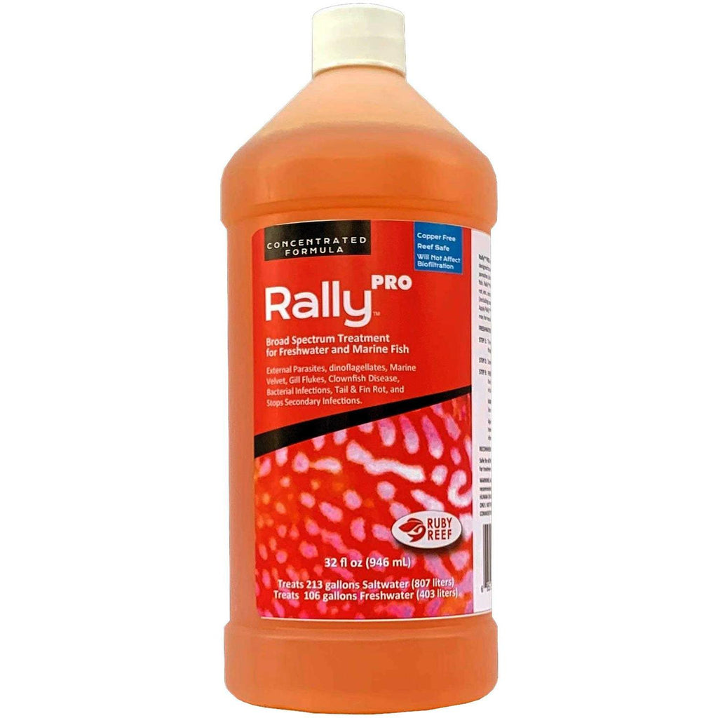 Ruby Reef Rally Pro R481