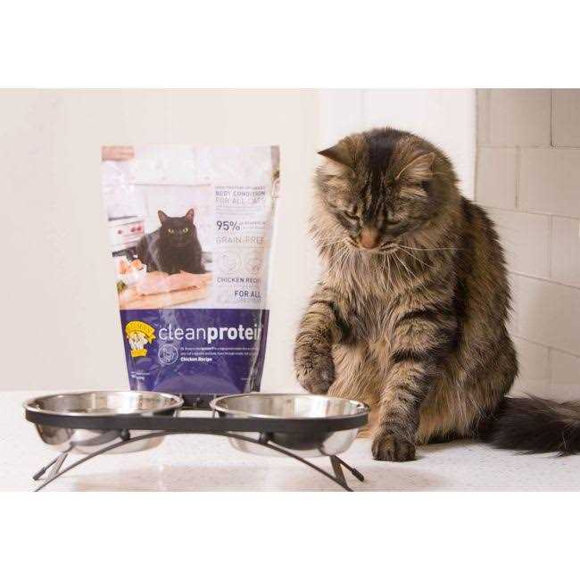 Chicken Formula Dry Cat Food P3267