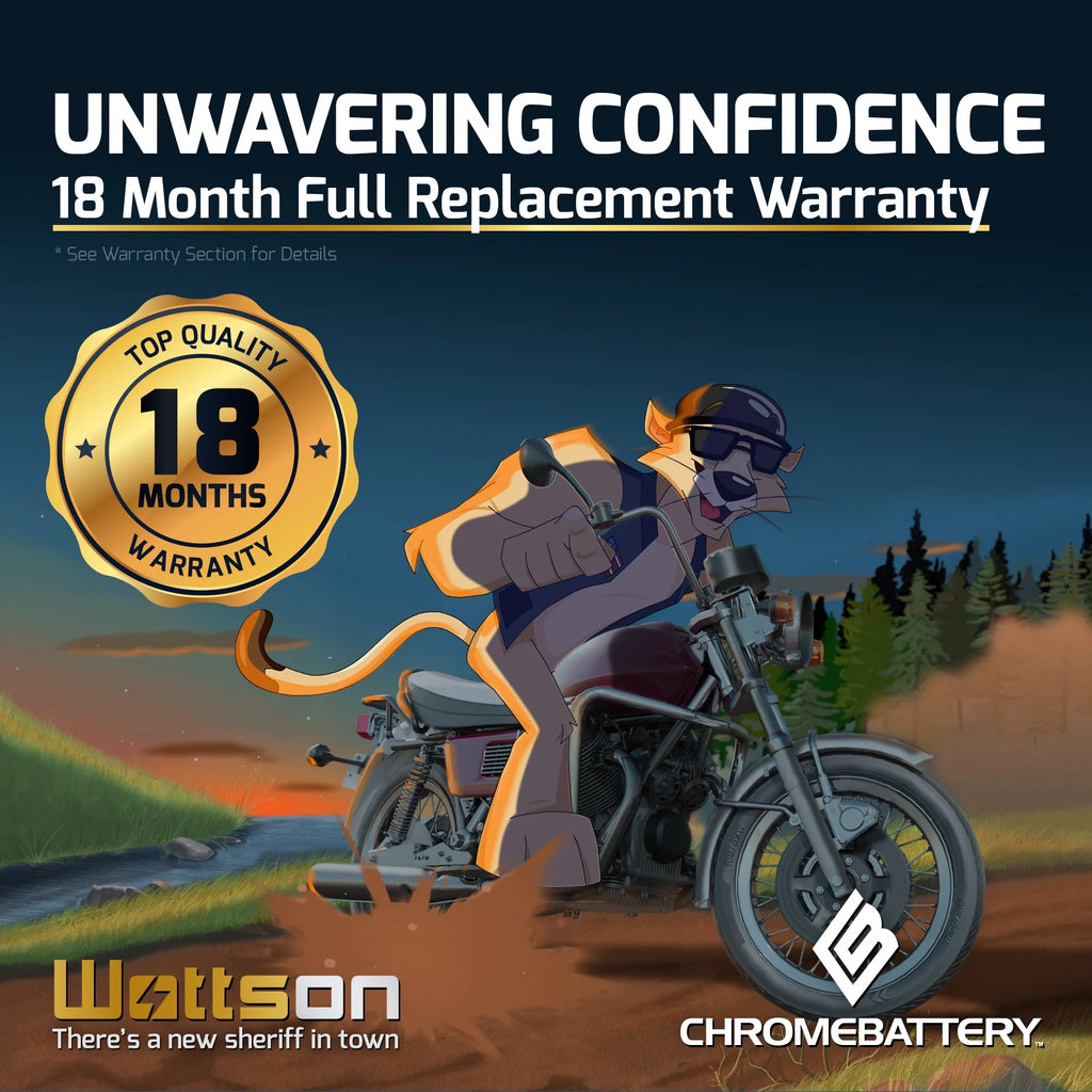 Sealed AGM Motorcycle Battery S2199