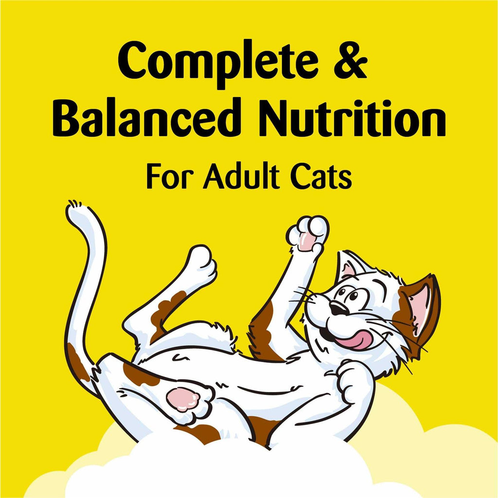 Crunchy and Soft Kitten Treats Dairy Flavor V846