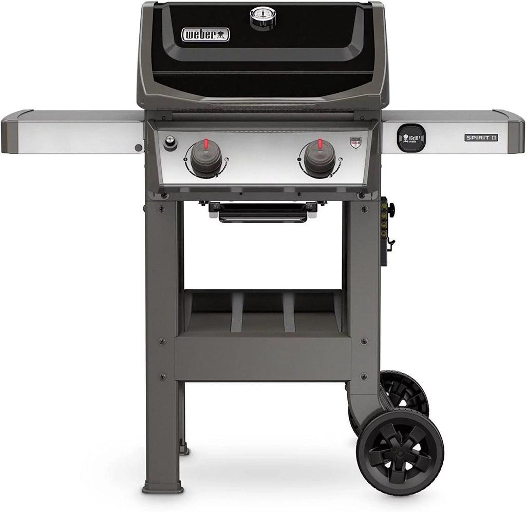 Black 2-Burner Liquid Propane Grill K684170
