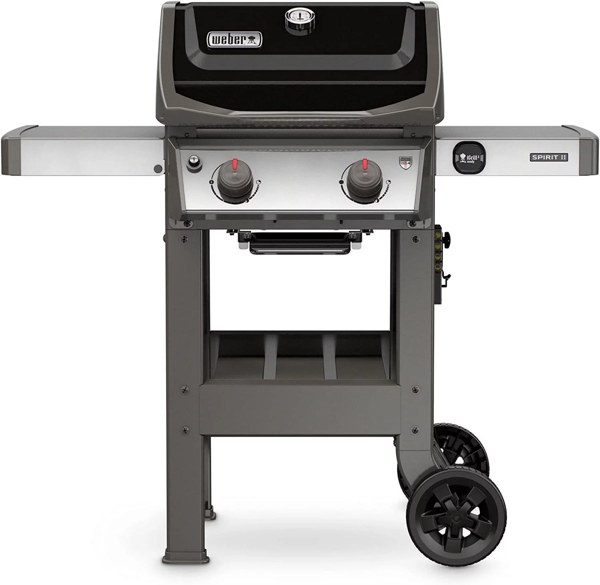 Black 2-Burner Liquid Propane Grill K684170