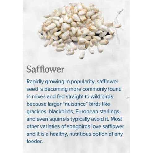 Safflower Bird Seed E8375