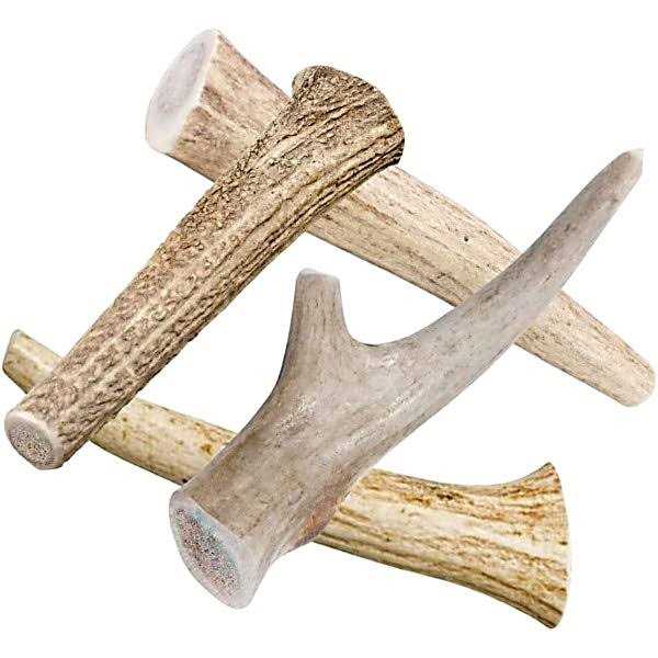 All Natural Whole Deer Antler Dog Chew Treats H233305