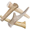 All Natural Whole Deer Antler Dog Chew Treats H233305