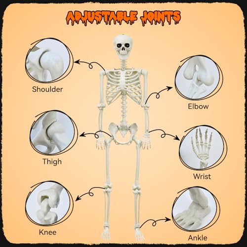 5.4Ft Life-Size Posable Skeleton L764