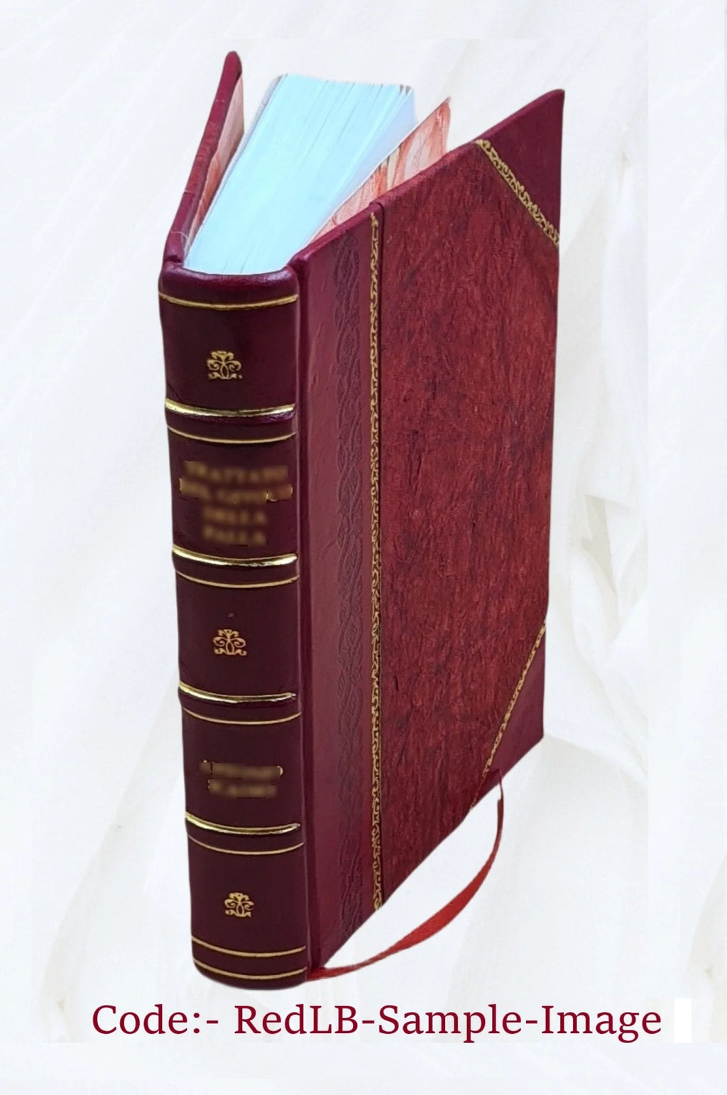 1876 Disputed Presidential Election D432373