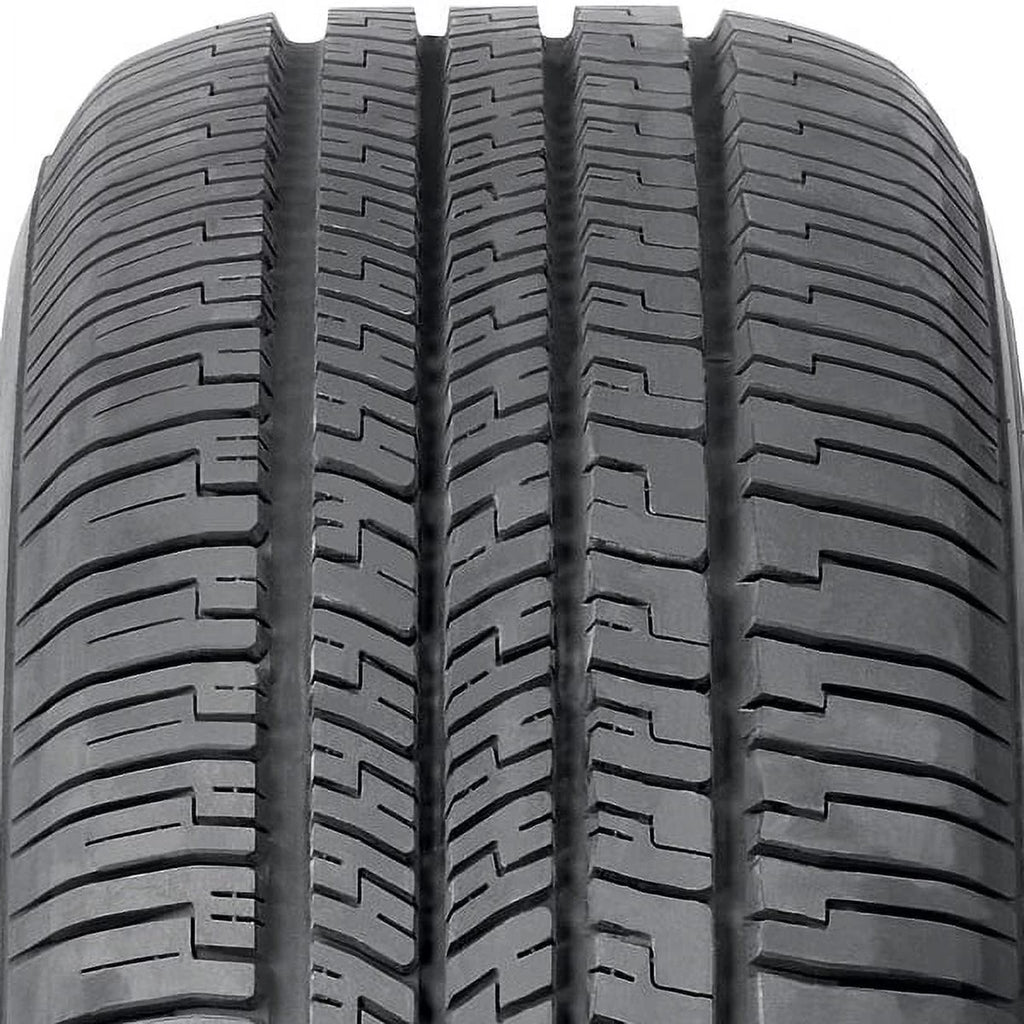 All-Season Tire Q355274