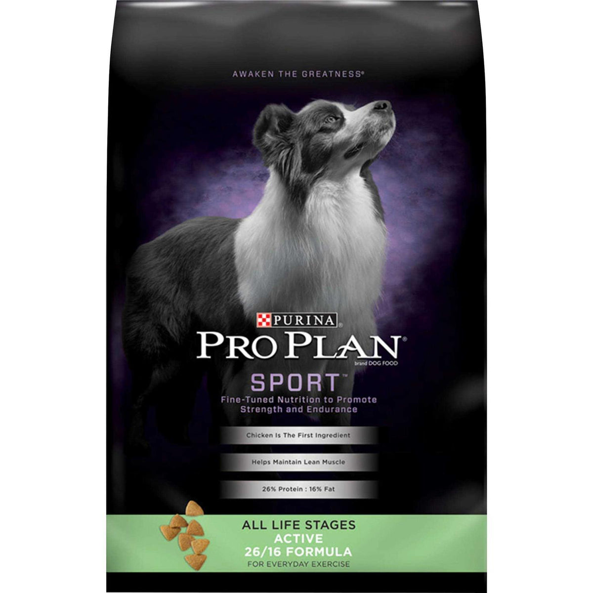 Dry Dog Food U96936