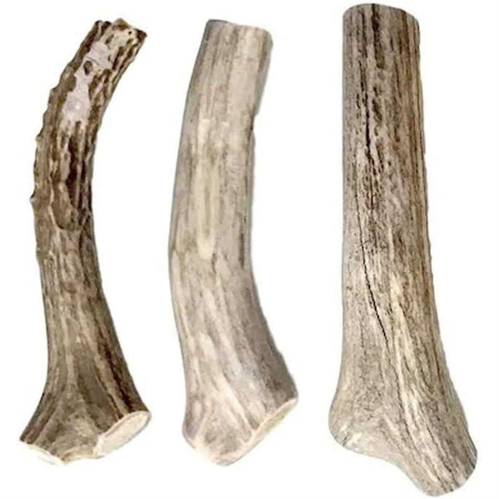 All Natural Whole Deer Antler Dog Chew Treats H233305