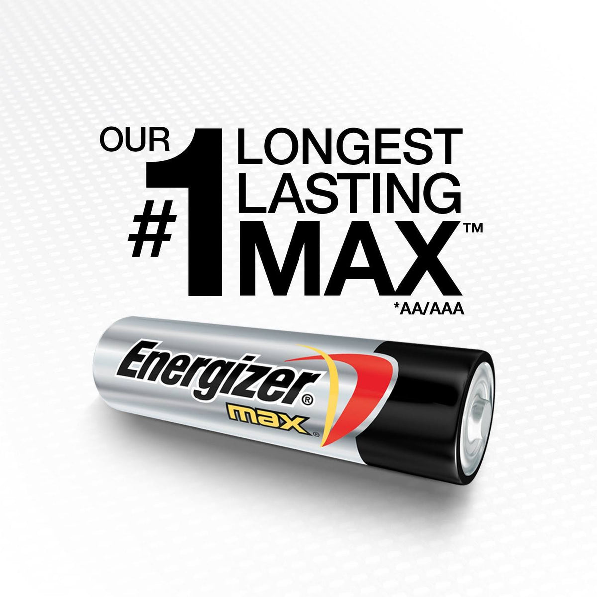 AA Alkaline Batteries Z24060