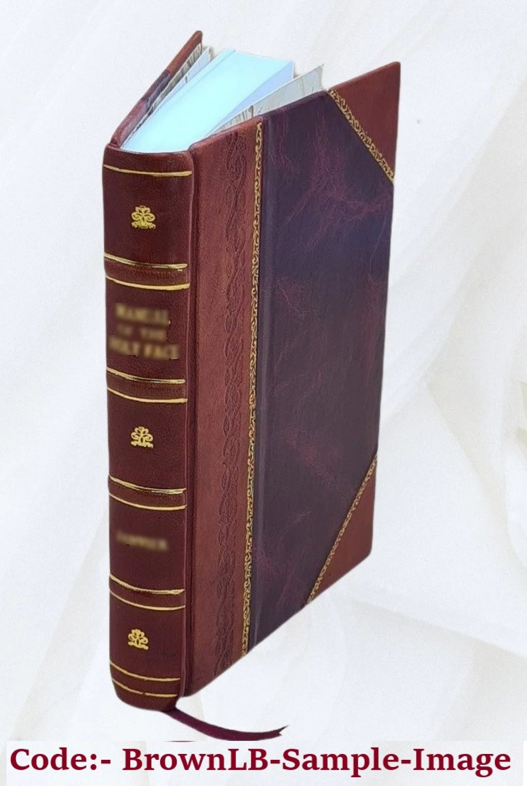 Leather Bound B408