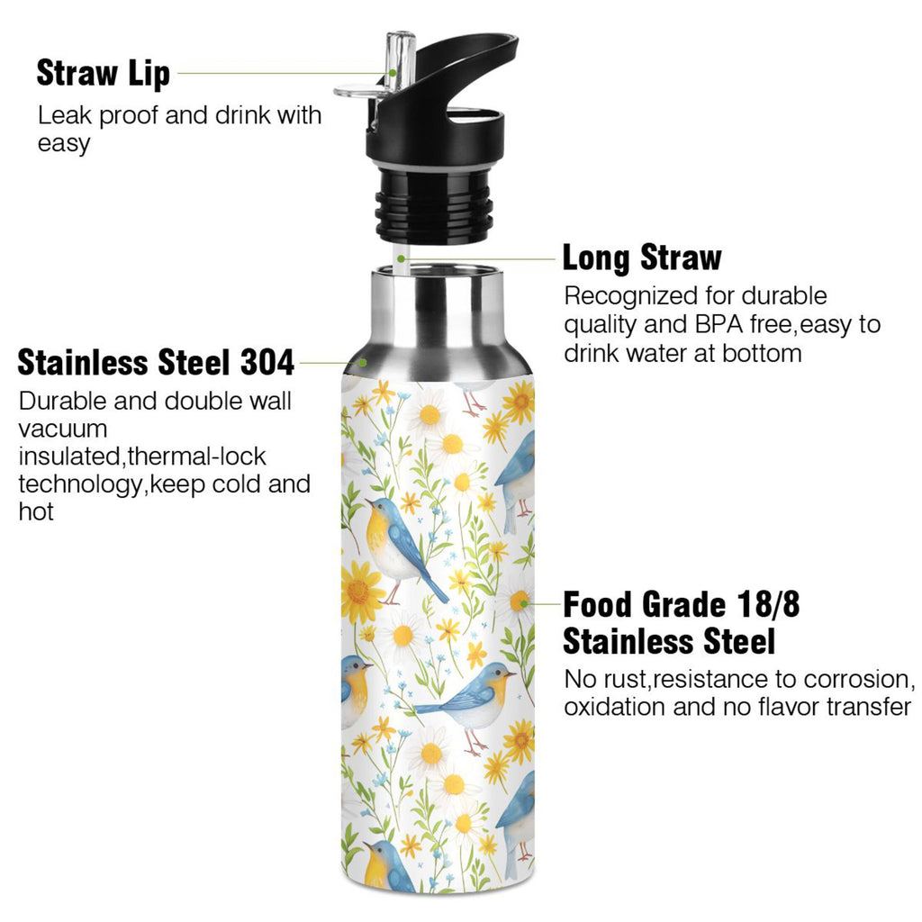 20 oz Insulated Stainless Steel Water Bottle with Straw Lid X6026