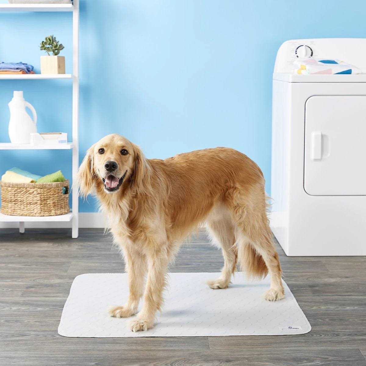 Washable Dog Pee Pads U448