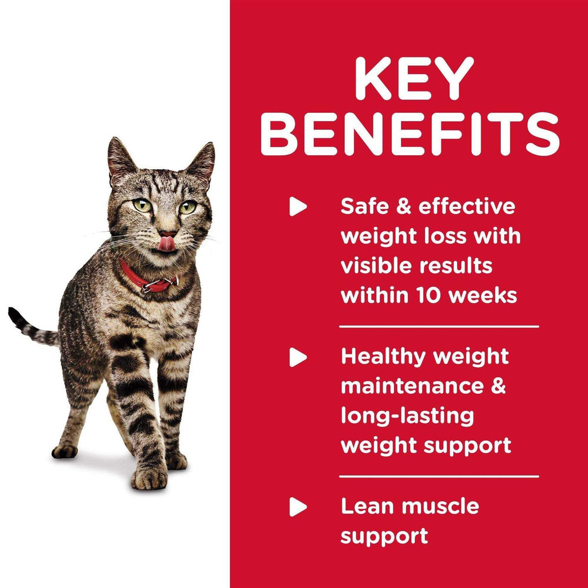 Adult Perfect Weight Cat Food K474
