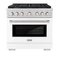36 5.2 cu. ft. Gas Range with Convection Oven Stainless Steel White Matte Door R521