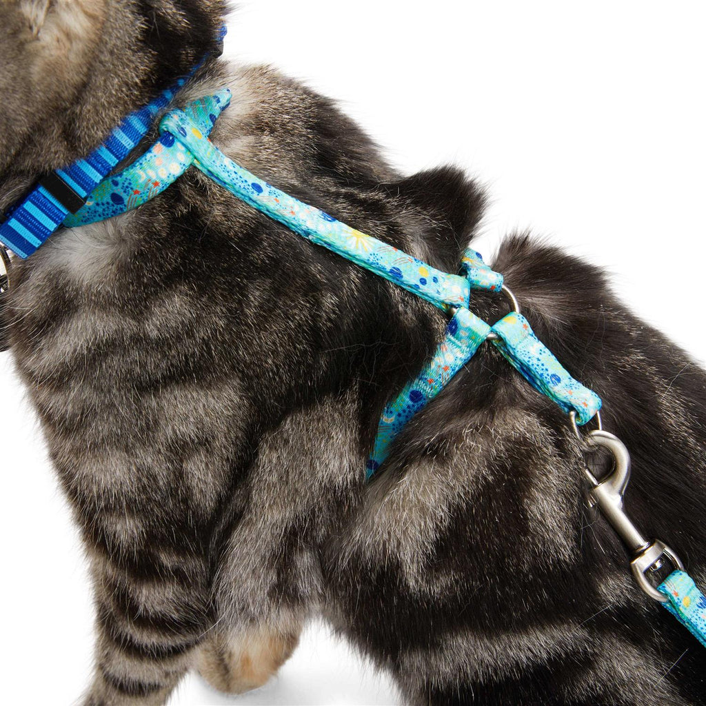 Kitten Harness & Lead F39540