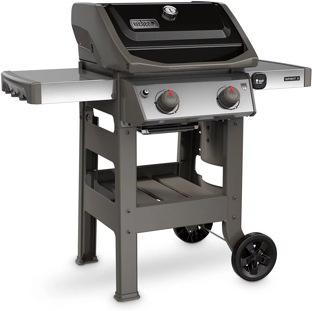 Black 2-Burner Liquid Propane Grill K684170