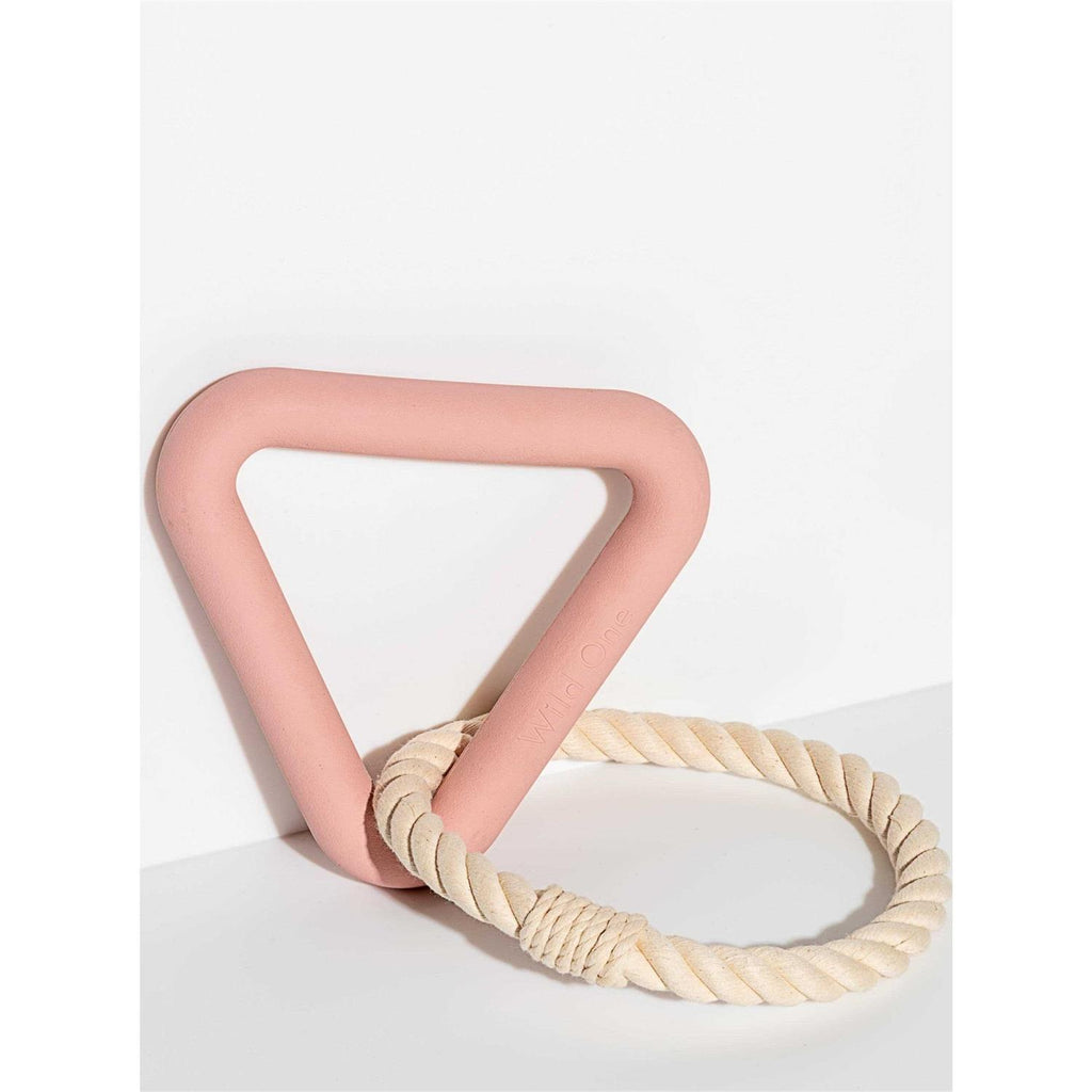 Triangle Tug Dog Toy Z598