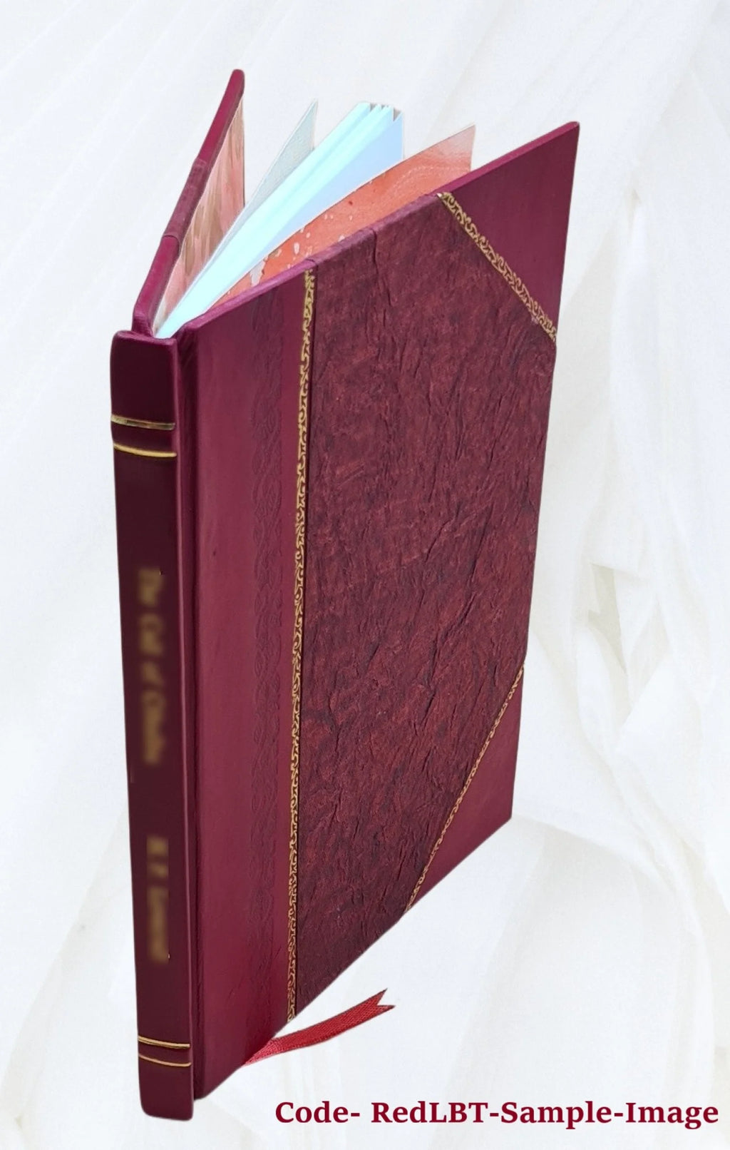 Sir Walter Scott and the border minstrelsy 1910 Leather Bound T75101