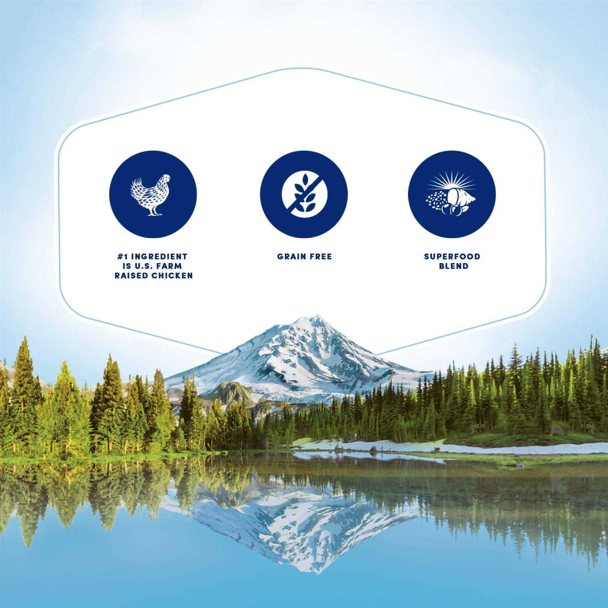 Grain Free Dog Food T60813