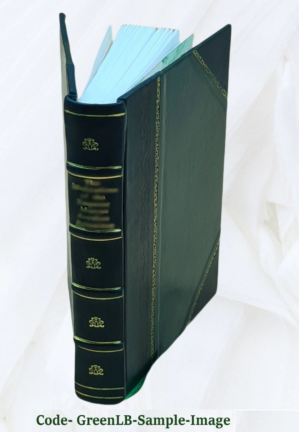 Leather Bound B408