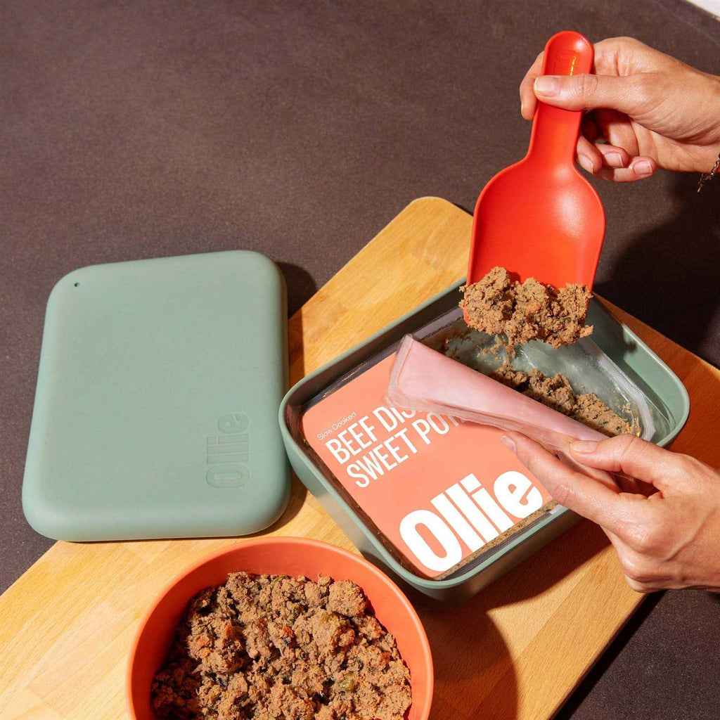 Dog Food Storage Container X405786