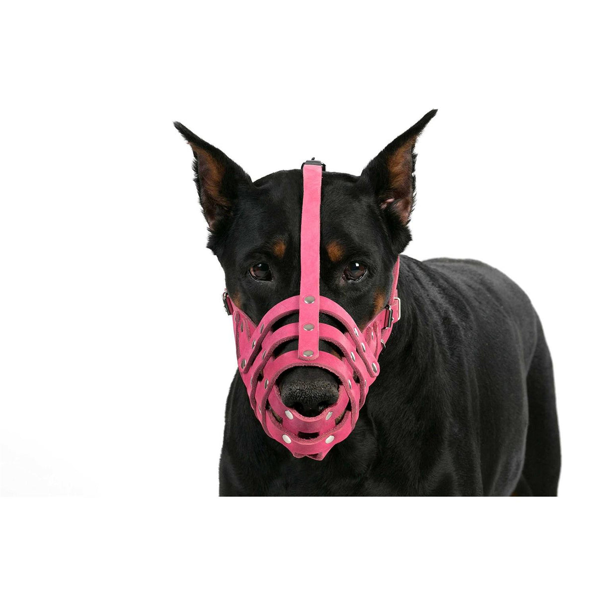 Leather Dog Muzzle Medium Large Breeds E926620